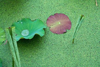 网格导向冒险游戏《编织者：角色谜题冒险》现已在Steam平台正式推出 获好评